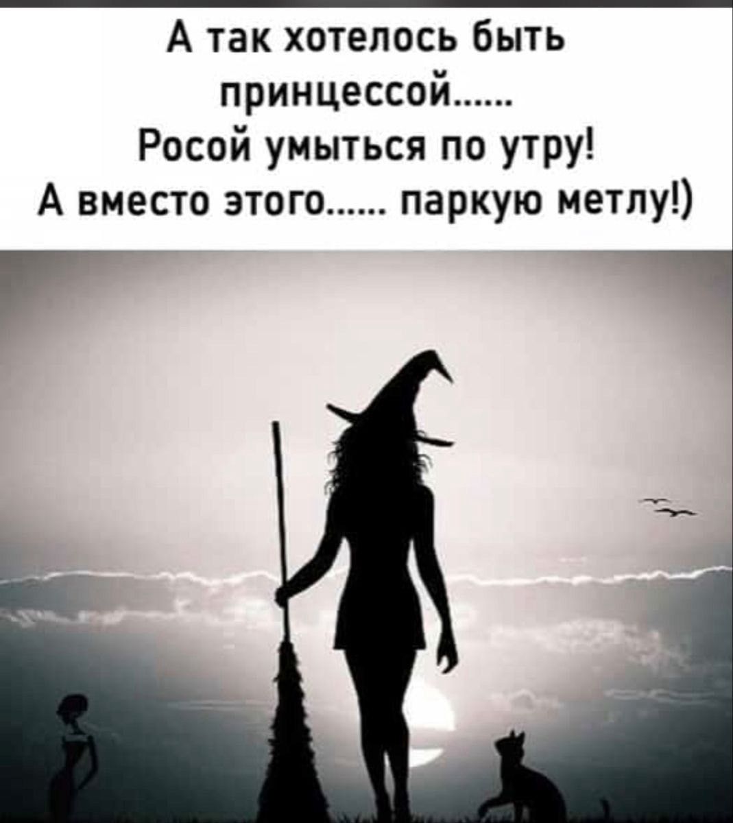 А так хотелось Быть принцессой Росой умыться по утру А вместо этого паркую мечпу