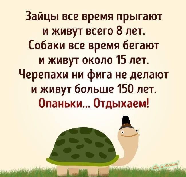 Зайцы все время прыгают и живут всего 8 лет Собаки все время бегают и живут около 15 лет Черепахи ни фига не делают и живут больше 150 лет Опаньки Отдыхаем