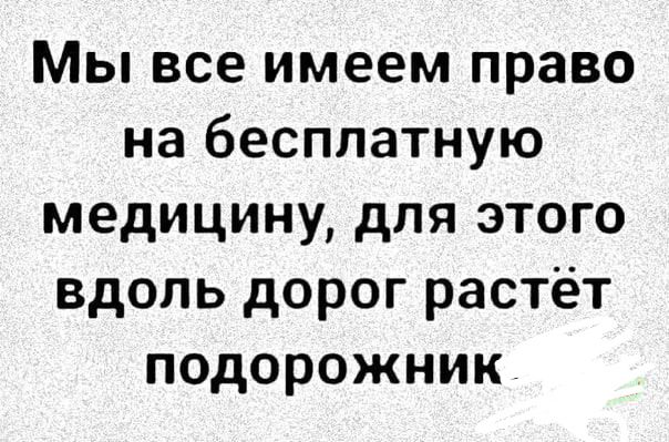 Мы все имеем право на бесплатную медицину для этого вдоль дорог растёт подорожник