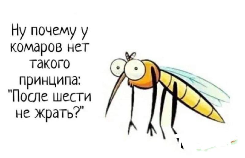 Ну почему у комаров нет такого принципа Поше шести не жрать