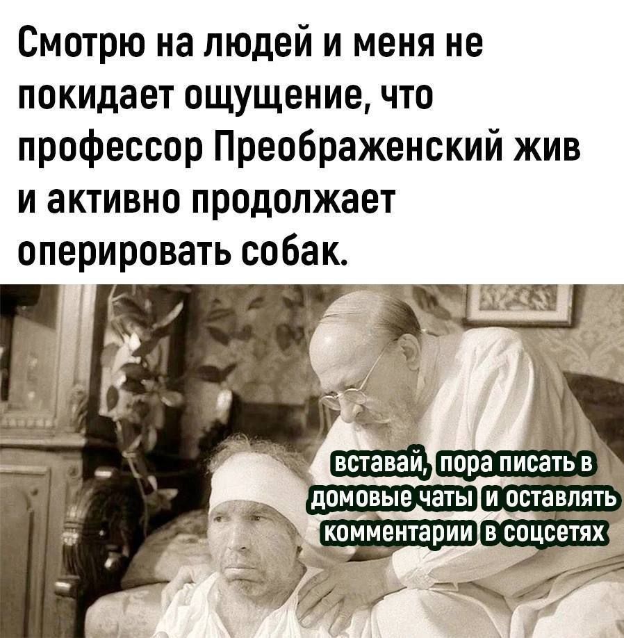 Смотрю на людей и меня не покидает ощущение что профессор Преображенский жив и активно продолжает оперировать собак домовые чаты и ананд ять а комментариивсоцсетях