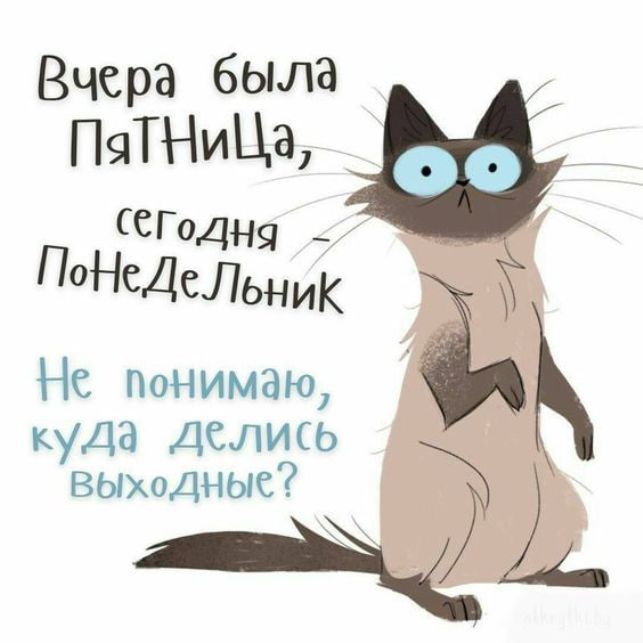 Вчера была ПЧТНИЦаі ССГодн _ НСДСЛЬНИК Не Понимаю куда Делись ВЫходные