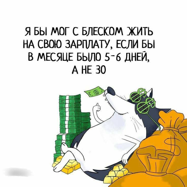 Я БЫ МОГ С БЛЕСКОМ ЖИТЬ НА СЮО 3АРПЛАТУ ЕСЛИ БЫ В МЕСЯЦЕ БЫЛО 56 ДНЕЙ А НЕ 30