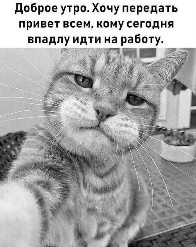 доброе утро Хочу передать привет всем кому сегодня впадлу идти на работу из