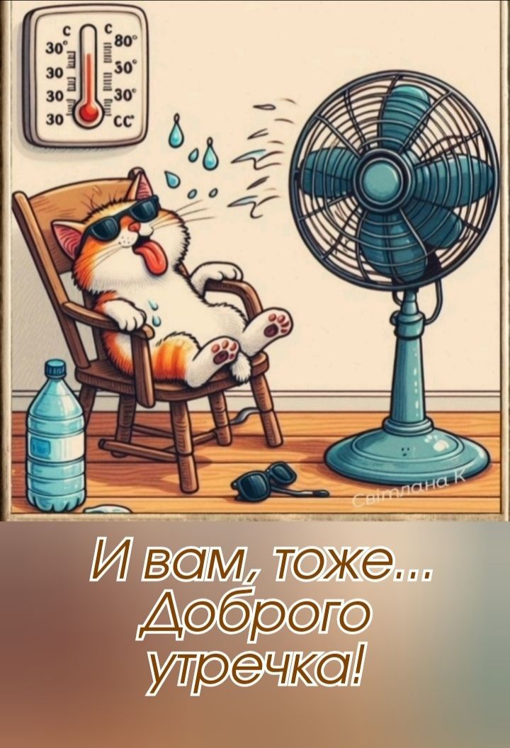 терм тоже Щ рого