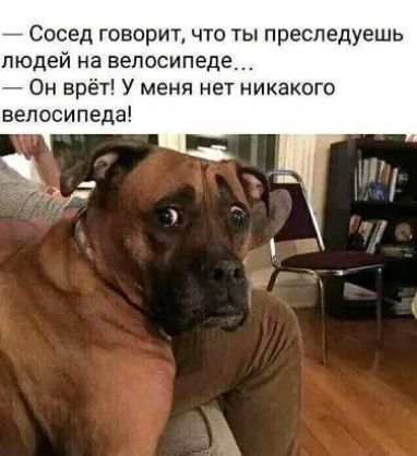 Сосед говорит что ты преследуешь людей на велосипеде Он врёт У меня нет никако велосипеда