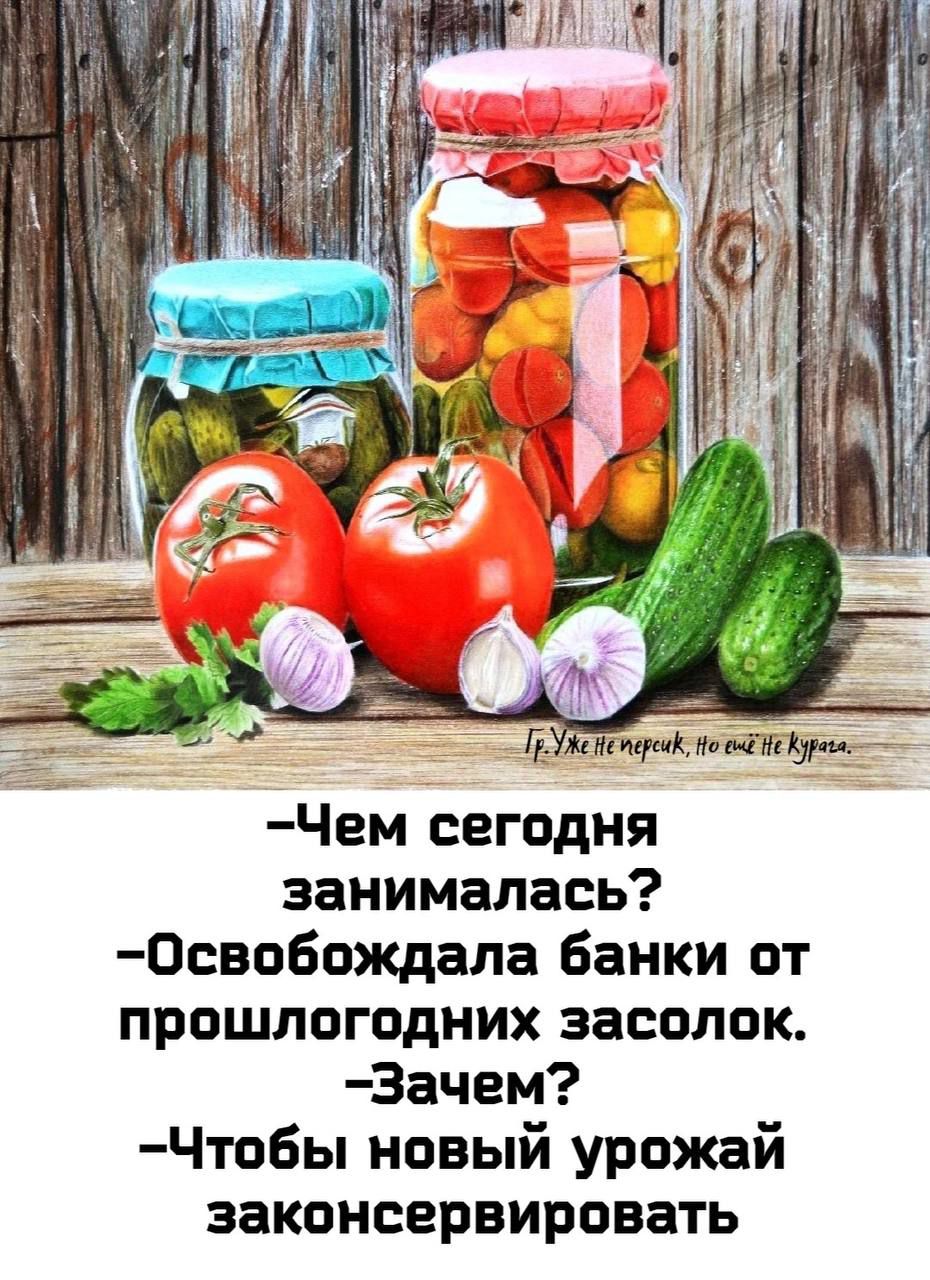 Т а ТЕУЖеНенерокно ееб НЕ орн Чем сегодня занималась Освобождала банки от прошлогодних засолок Зачем Чтобы новый урожай законсервировать