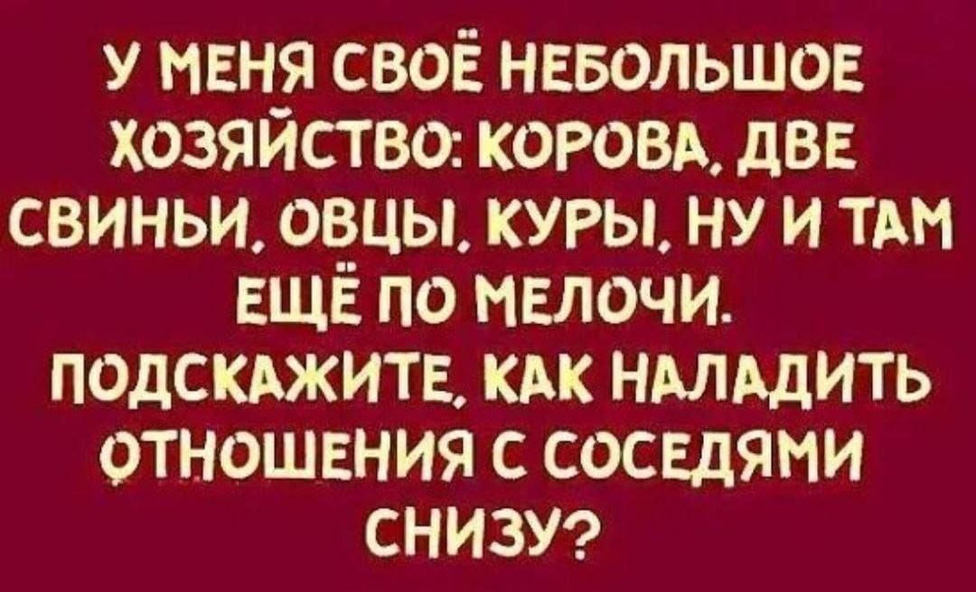 У МЕНЯ СВОЁ НЕБОЛЬШОЕ ХОЗЯЙСТВО КОРОВА ДВЕ СВИНЬИ ОВЦЫ КУРЫ НУ И ТАМ ЕЩЁ ПО МЕЛОЧИ ПОДСКАЖИТЕ КАК НАЛАДИТЬ ОТНОШЕНИЯ С СОСЕДЯМИ СНИЗУ