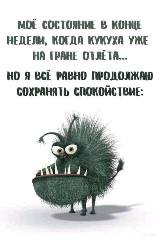 МОЁ СОСТОЯНИЕ В КОНЦЕ НЕДЕЛИ КОГДА КУКУХА УЖЕ НА ГРАНЕ ОТЛЁТА НО Я ВсЁ РАВНО ПРОДОЛЖАЮ СОХРАНЯТЬ СПОКОЙСТВИЕ