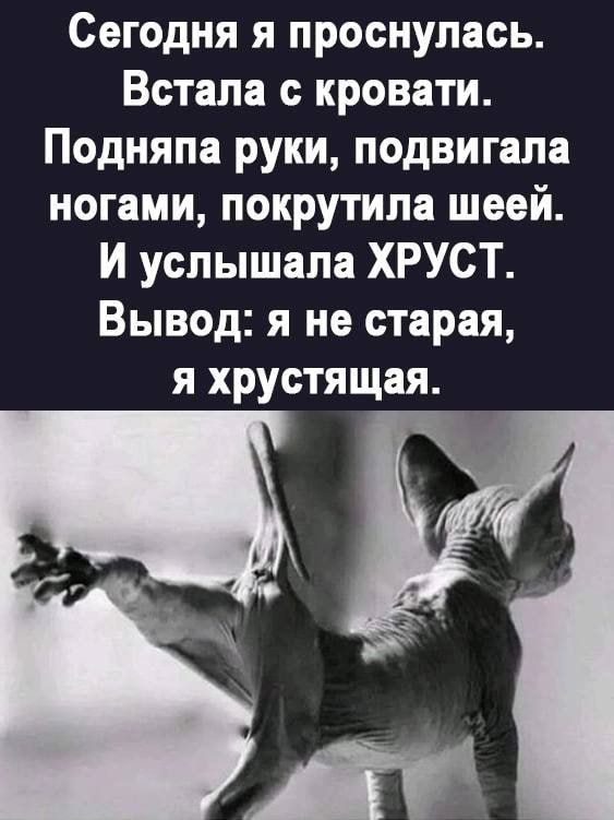 Сегодня я проснулась Встала с кровати Подняпа руки подвигала ногами покрутила шеей И услышала ХРУСТ Вывод я не старая я хрустящая