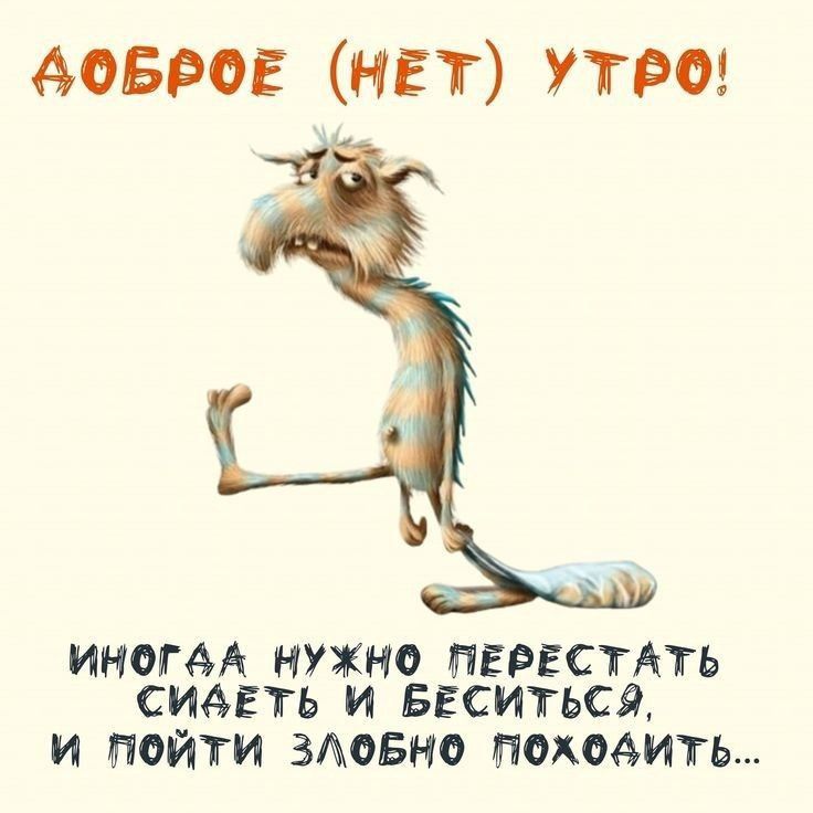 ДОБРОЕ (НЕТ) УТРО!
ИНОГА НУЖНО ПЕРЕСТАТЬ СИДЕТЬ И БЕСИТЬСЯ, И ПОЙТИ ЗЛОБНО ПОХОДИТЬ...