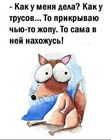 - Как у меня дела? Как у трусов... То прикрываю чью-то жопу. То сама в ней нахожусь!