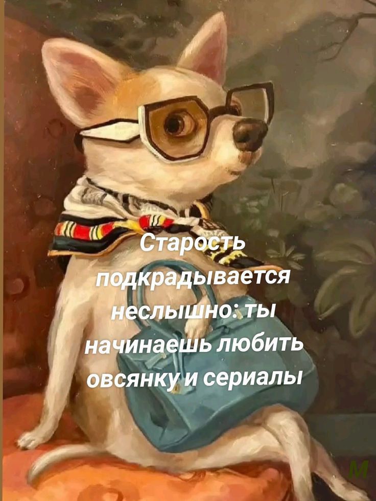Старость подкрадывается неслышно: ты начинаешь любить овсянку и сериалы