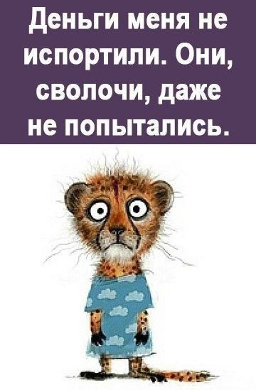 Деньги меня не испортили. Они, сволочи, даже не попытались.