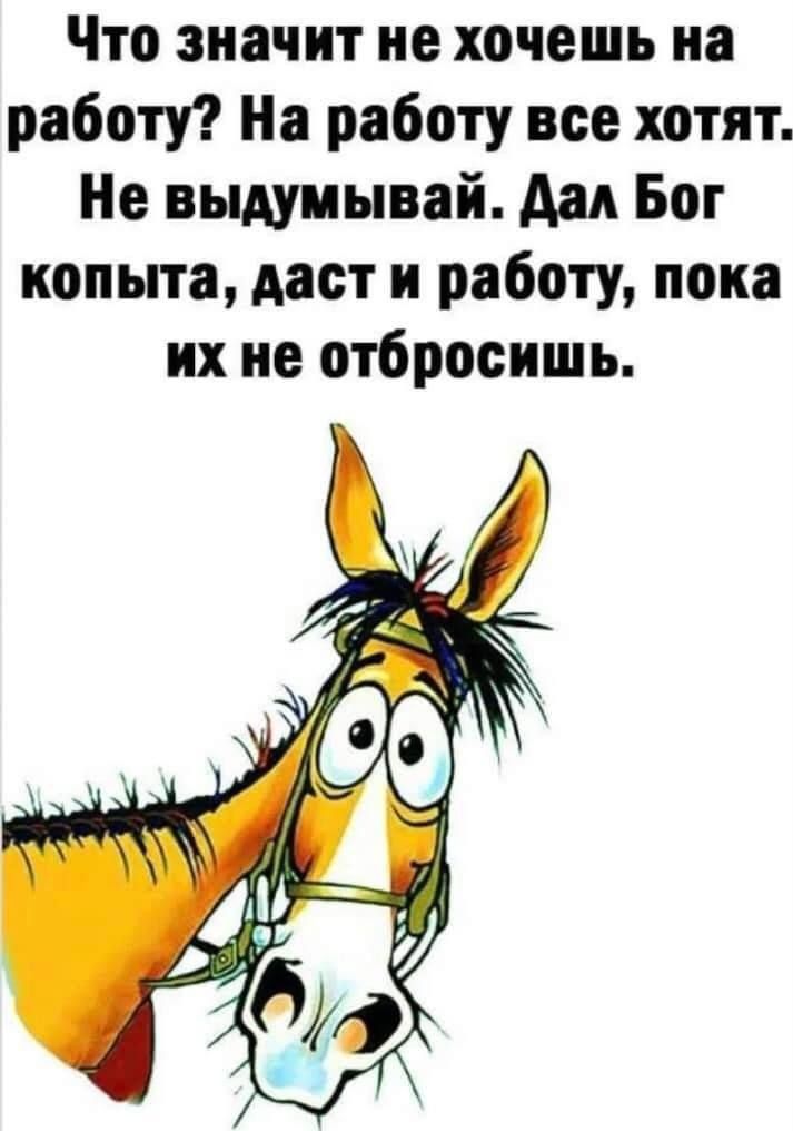 Что значит не хочешь на работу? На работу все хотят. Не выдумывай. Дал Бог копыта, даст и работу, пока их не отбросишь.