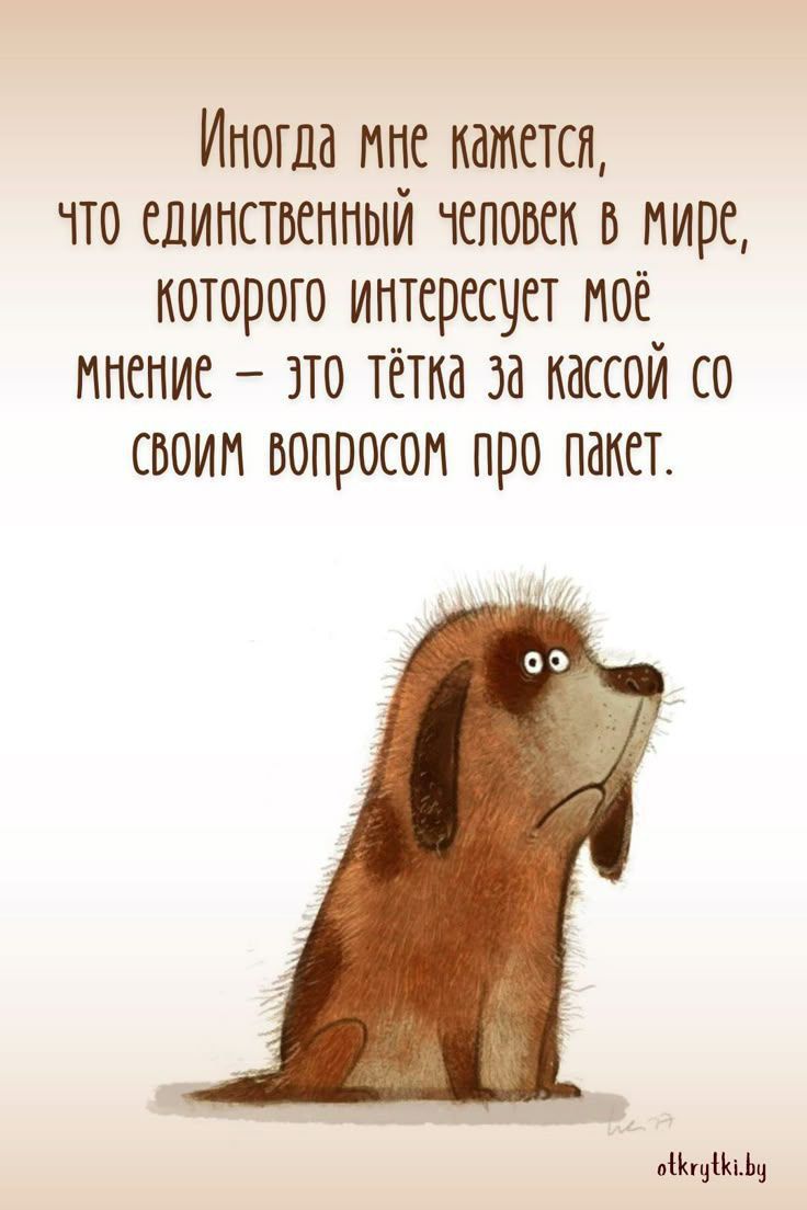 Иногда мне кажется, что единственный человек в мире, которого интересует моё мнение – это тётка за кассой со своим вопросом про пакет.