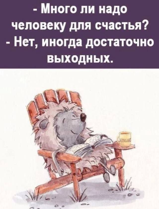 - Много ли надо человеку для счастья? - Нет, иногда достаточно выходных.