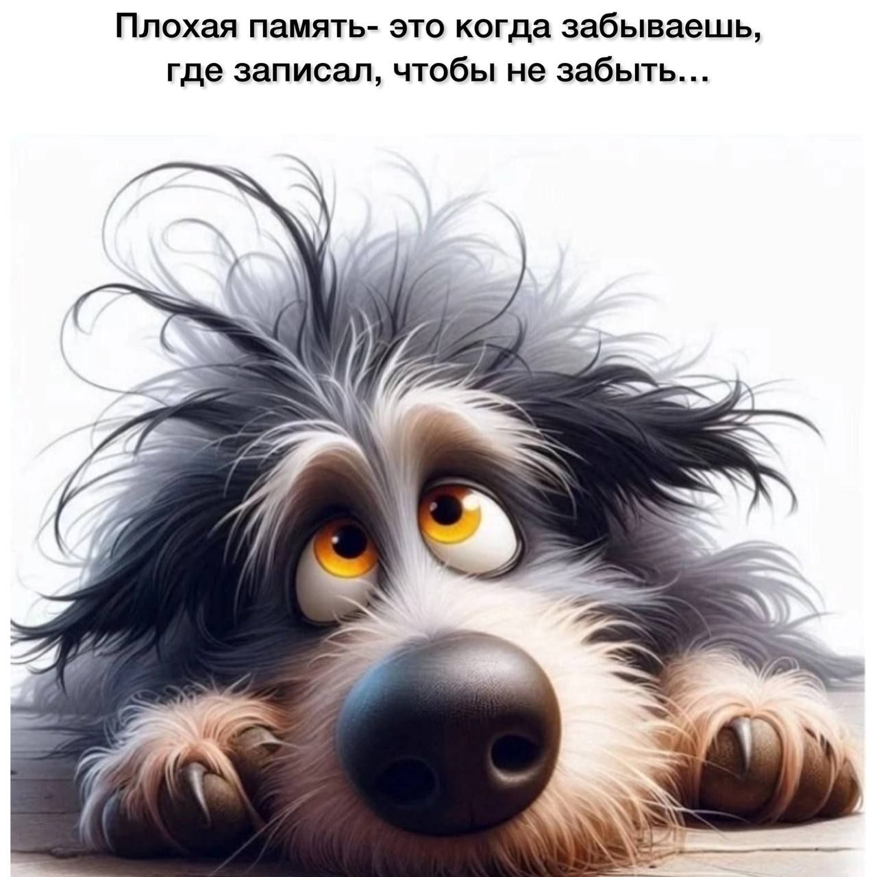 Плохая память- это когда забываешь, где записал, чтобы не забыть...