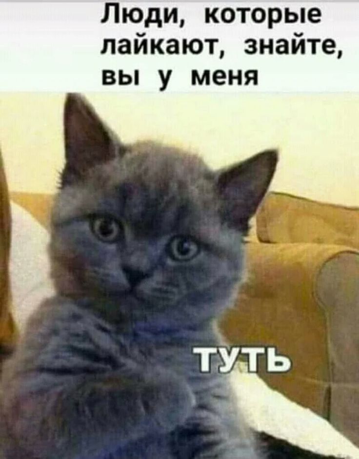 Люди, которые лайкают, знайте, вы у меня ТУТЬ
