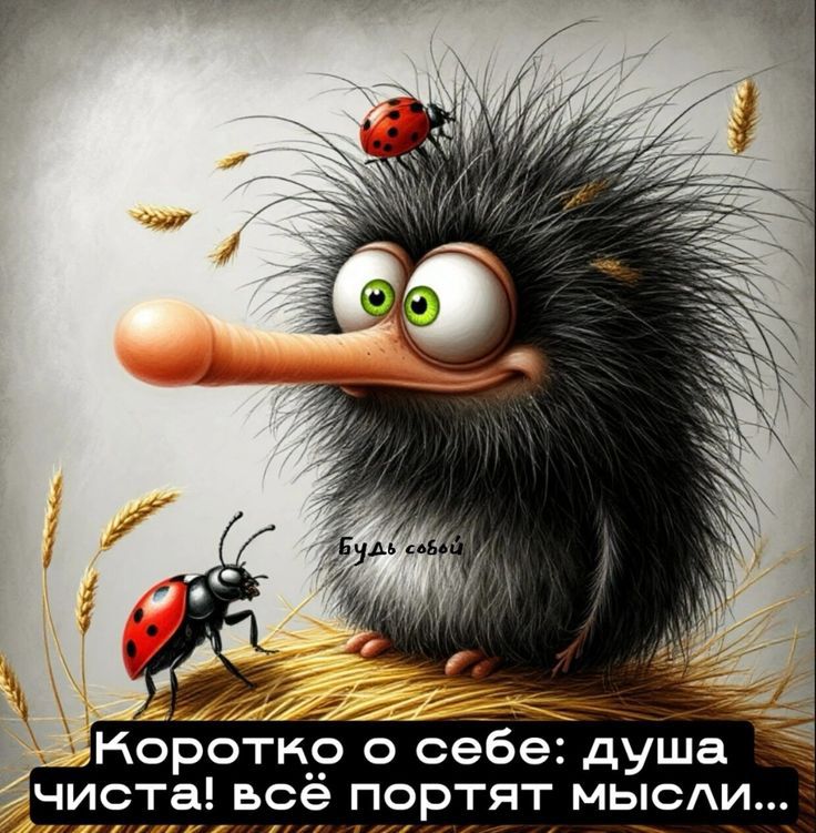 Корочко о себе: душа чиста! всё портят мысли...