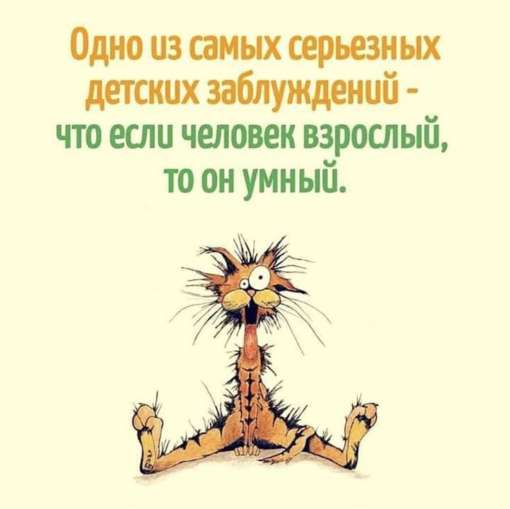 Одно из самых серьезных детских заблуждений - что если человек взрослый, то он умный.