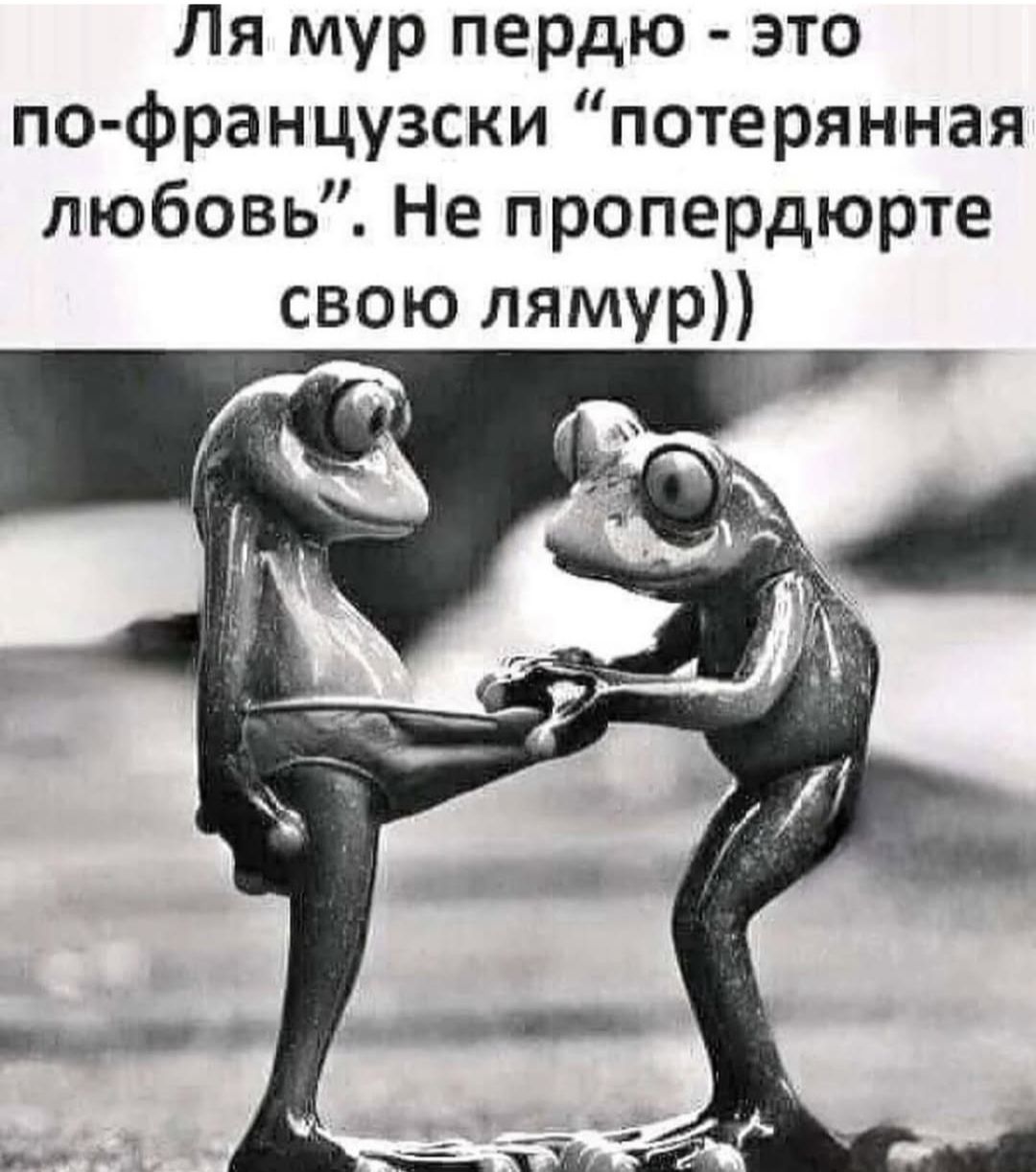 Ля мур пердю - это по-французски 
