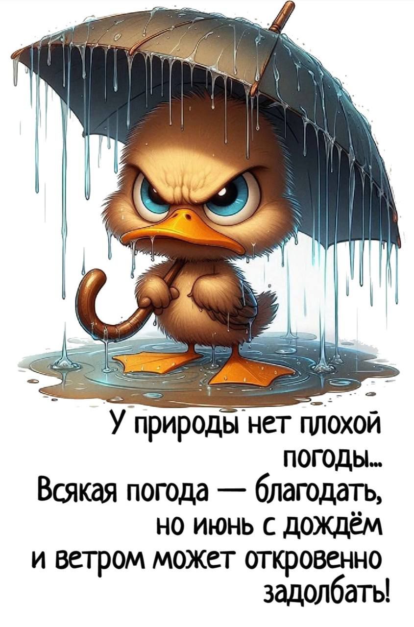 У природы нет плохой погоды...
Всякая погода — благодать, но июнь с дождём и ветром может откровенно задолбать!