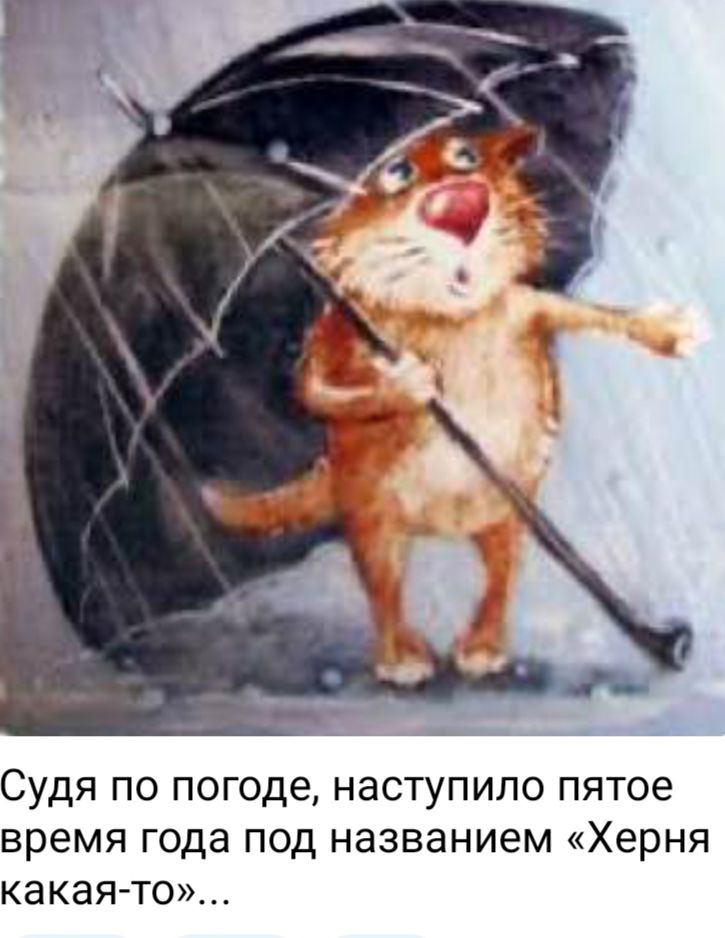 Судя по погоде, наступило пятое время года под названием «Херня какая-то»...