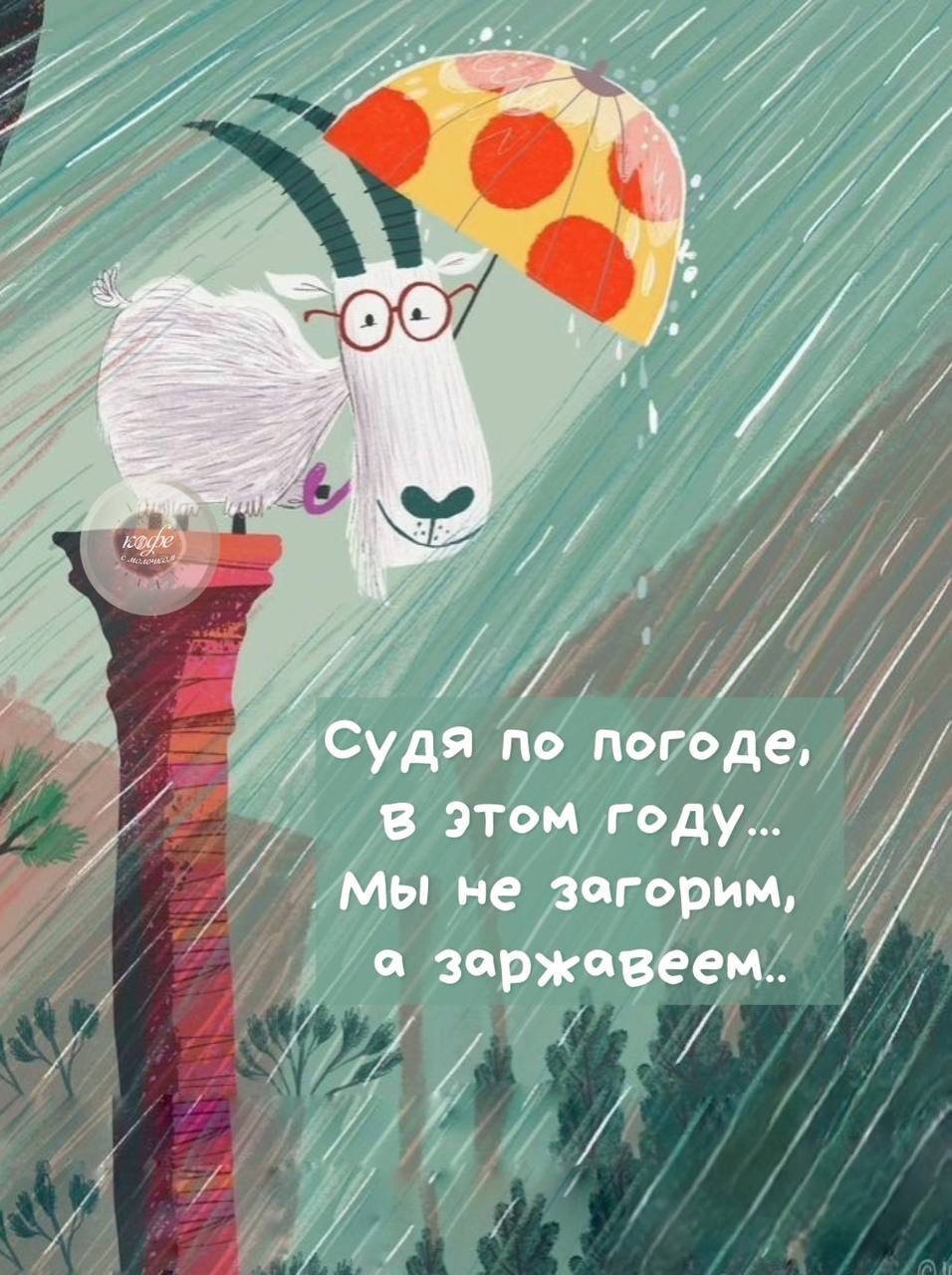 Судя по погоде, в этом году… Мы не загорим, а заржавеем..