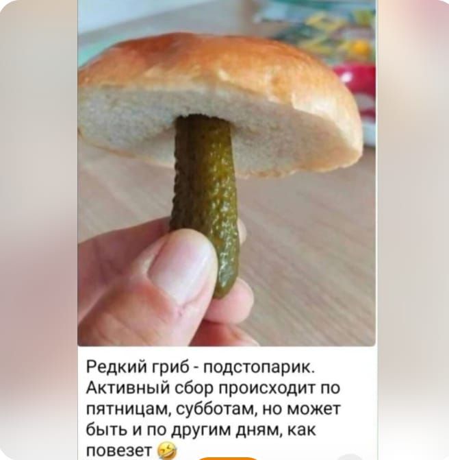 Редкий гриб - подстопарик. Активный сбор происходит по пятницам, субботам, но может быть и по другим дням, как повезет 😂