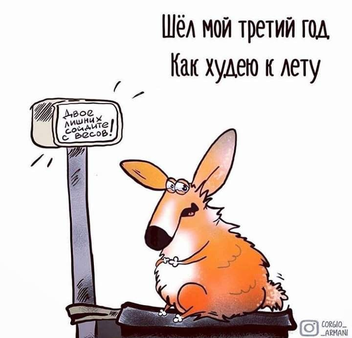 Шёл мой третий год. Как худею к лету. 