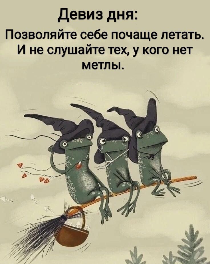 Девиз дня: Позволяйте себе почаще летать. И не слушайте тех, у кого нет метлы.