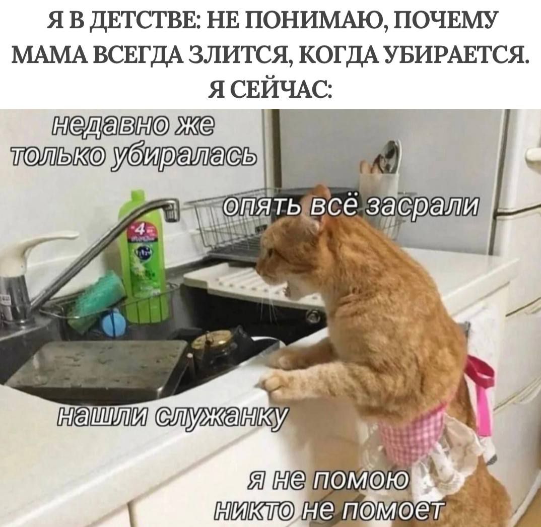Я В ДЕТСТВЕ: НЕ ПОНИМАЮ, ПОЧЕМУ МАМА ВСЕГДА ЗЛИТСЯ, КОГДА УБИРАЕТСЯ. Я СЕЙЧАС:
недавно же только убиралась
опять всё засрали
нашли служанку
я не помогу никто не поможет