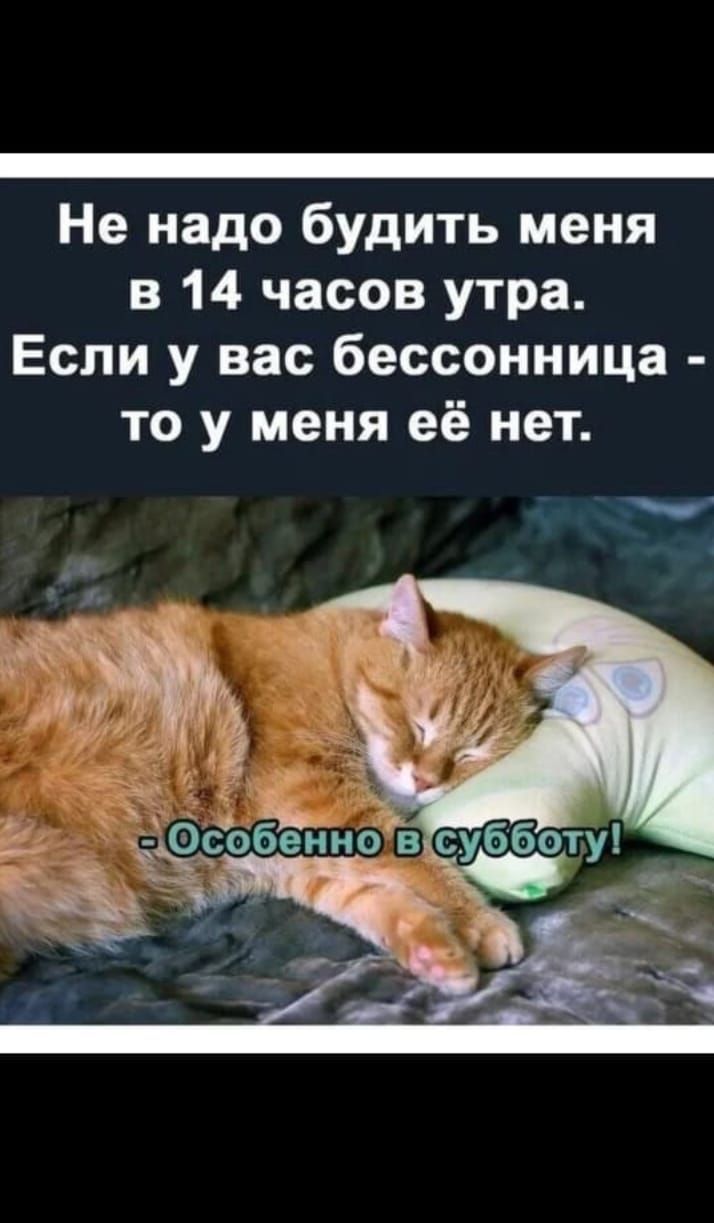 Не надо будить меня в 14 часов утра. Если у вас бессонница - то у меня её нет.
- Особенно в субботу!
