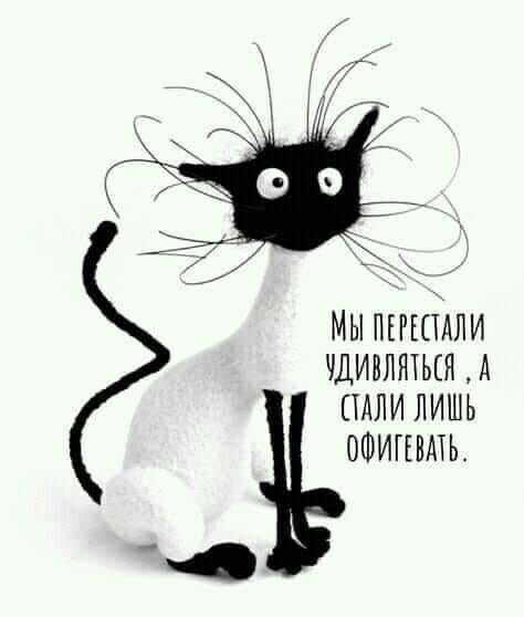Мы перестали удивляться, а стали лишь офигевать.