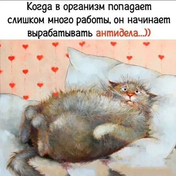 Когда в организм попадает слишком много работы, он начинает вырабатывать антитела...))