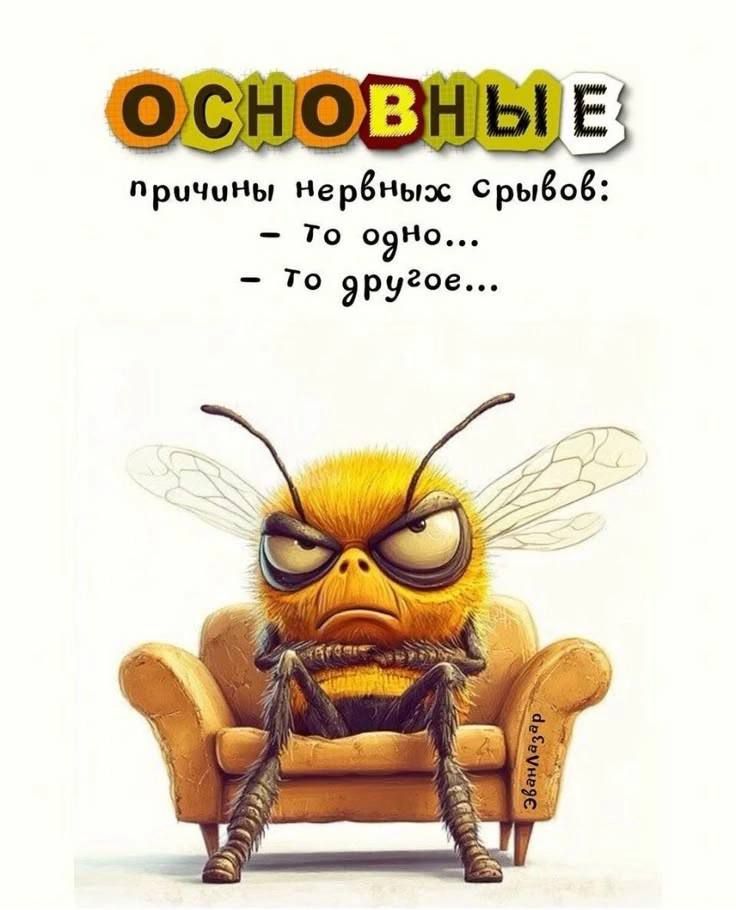 ОСНОВНЫЕ
причины нервных срывов:
- то одно...
- то другое...