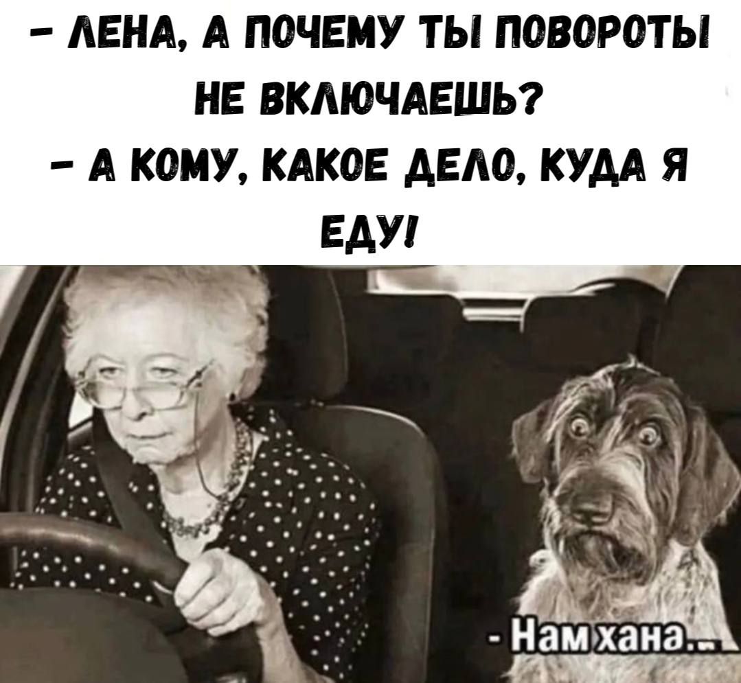 - Лена, а почему ты повороты не включаешь?  - А кому, какое дело, куда я еду!  - Нам хана...