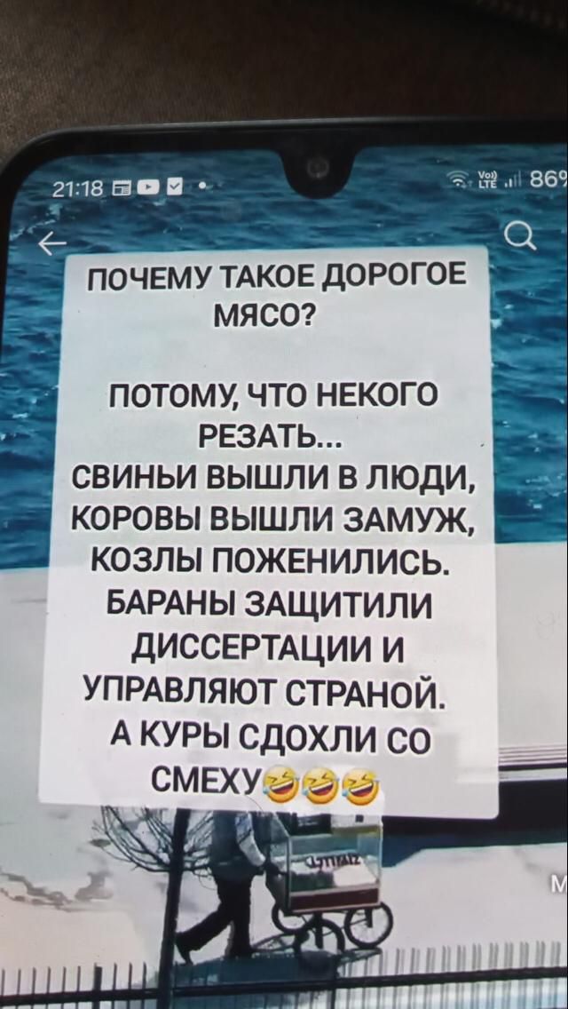 ПОЧЕМУ ТАКОЕ ДОРогоЕ МЯСО? ПОТОМУ, ЧТО НЕКОГО РЕЗАТЬ... СВИНЫ ВЫШЛИ В ЛЮДИ, КОРОВЫ ВЫШЛИ ЗАМУЖ, КОЗЛЫ ПОЖЕНИЛИСЬ. БАРАНЫ ЗАЩИТИЛИ ДИССЕРТАЦИИ И УПРАВЛЯЮТ СТРАНОЙ. А КУРЫ СДОХЛИ СО СМЕХУ
