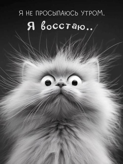 Я не просыпаюсь утром. Я восстаю..