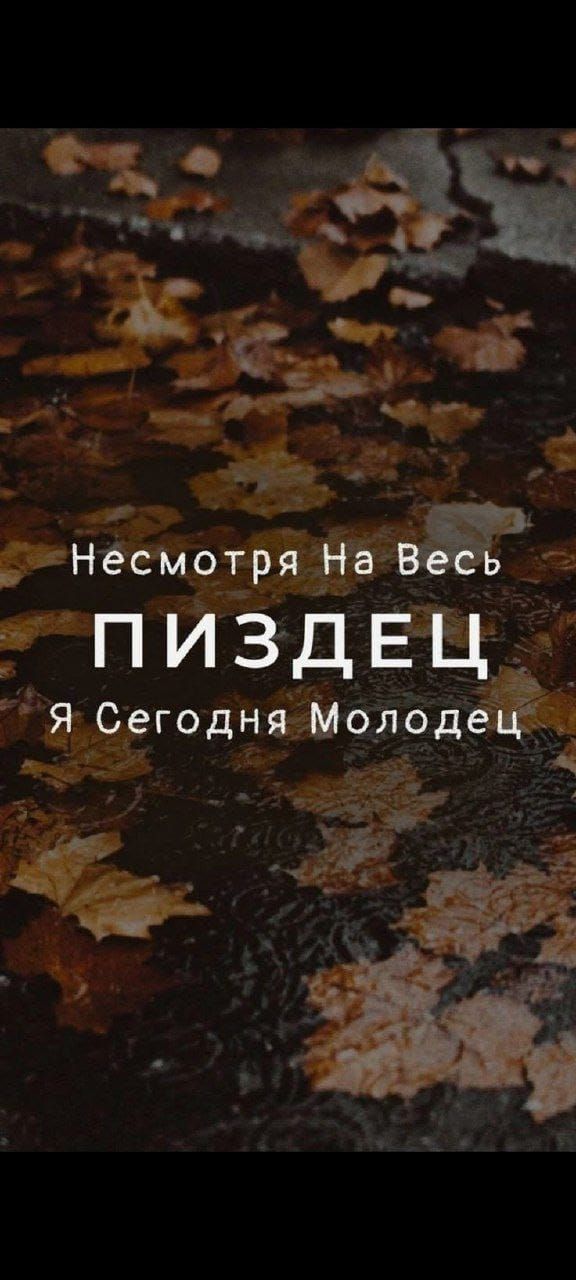 Несмотря На Весь ПИЗДЕЦ Я Сегодня Молодец