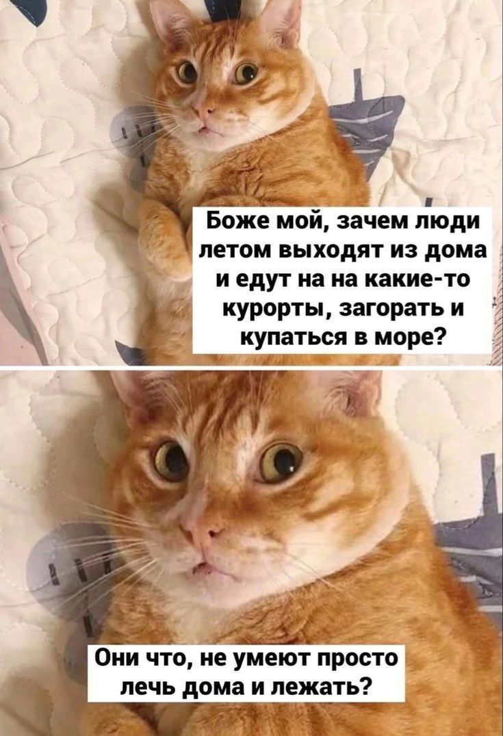 Боже мой, зачем люди летом выходят из дома и едут на какие-то курорты, загорать и купаться в море? Они что, не умеют просто лечь дома и лежать?