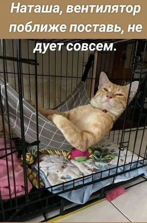 Наташа, вентилятор поближе поставь, не дует совсем.