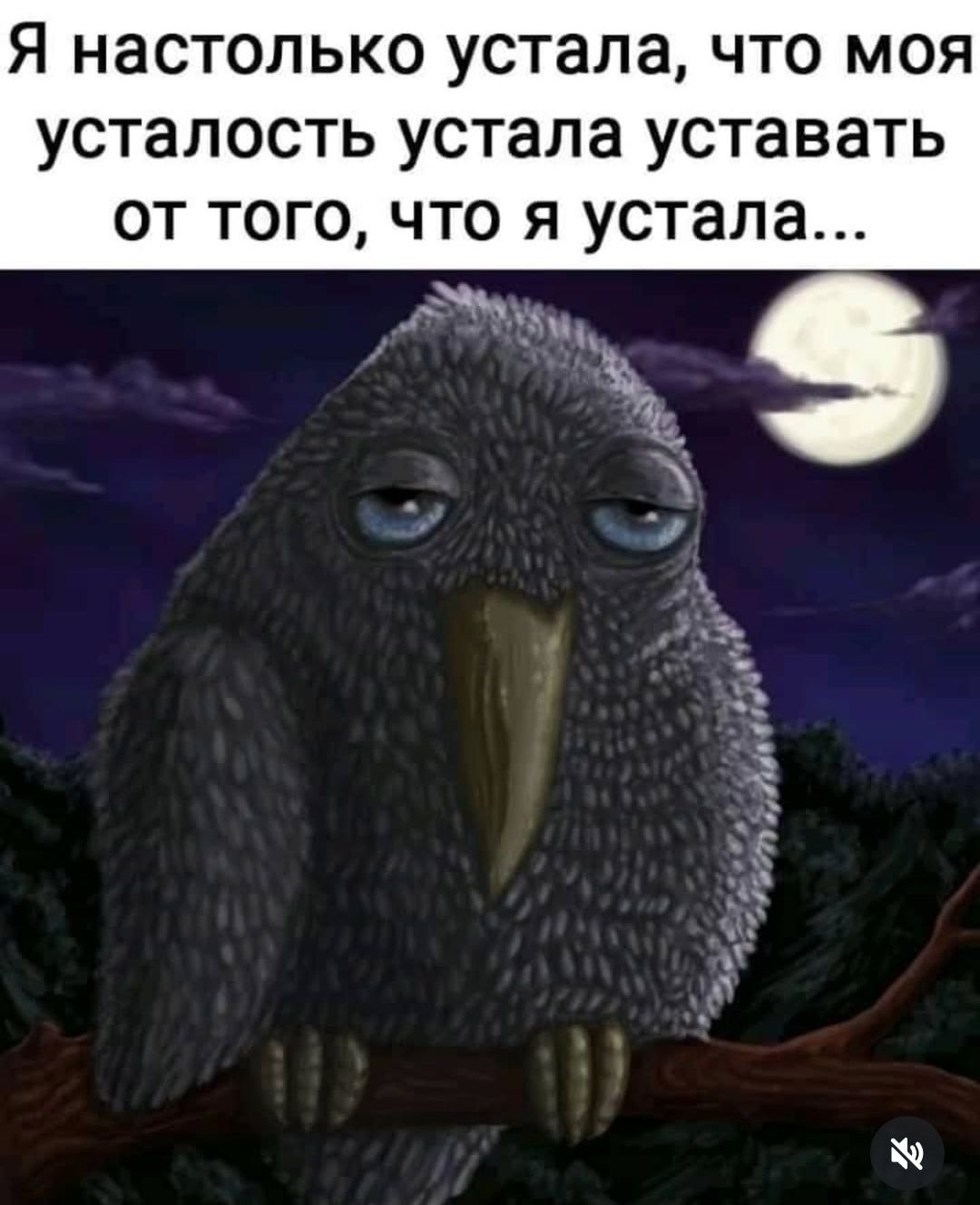 Я настолько устала, что моя усталость устала уставать от того, что я устала...