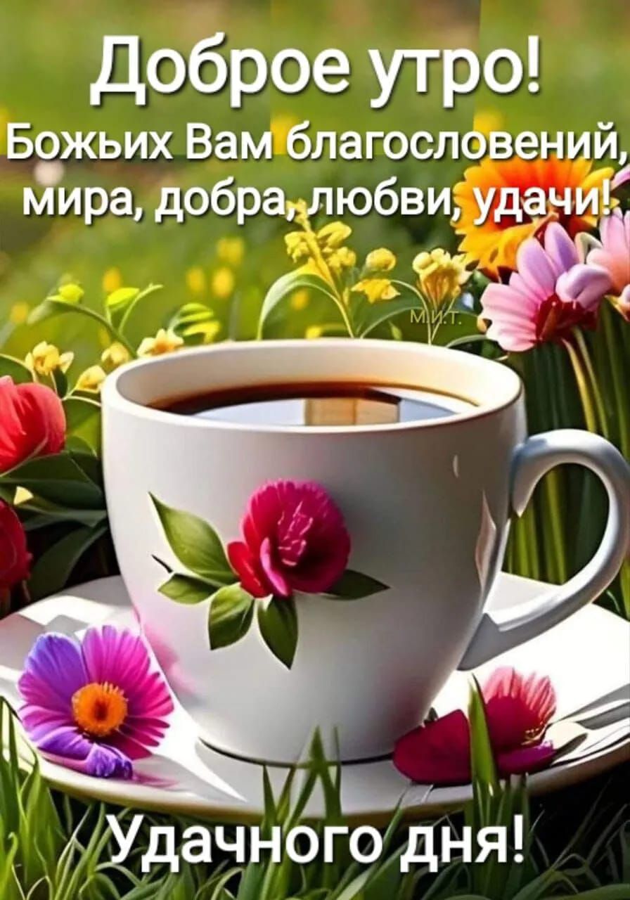 Доброе утро! Божьих Вам благословений, мира, добра, любви, удачи! Удачного дня!