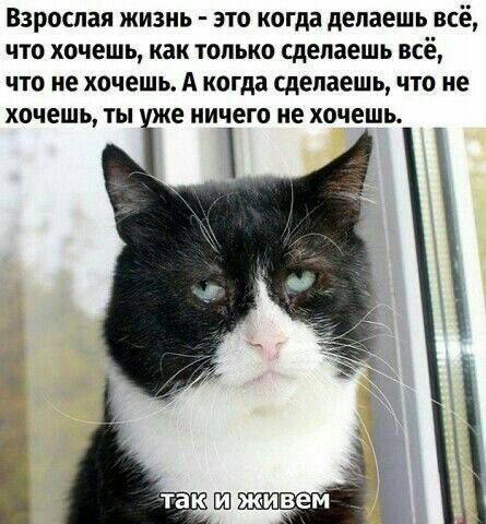 Взрослая жизнь - это когда делаешь всё, что хочешь, как только сделаешь всё, что не хочешь. А когда сделаешь, что не хочешь, ты уже ничего не хочешь.
так и живем