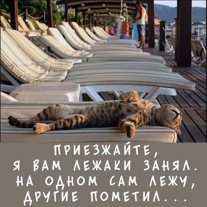 ПРИЕЗЖАЙТЕ, Я ВАМ ЛЕЖАКИ ЗАНЯЛ. НА ОДНОМ САМ ЛЕЖУ, ДРУГИЕ ПОМЕТИЛ...