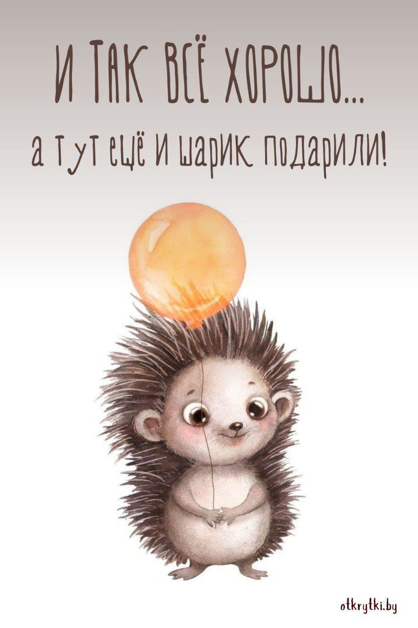И так всё хорошо... а тут ещё и шарик подарили!