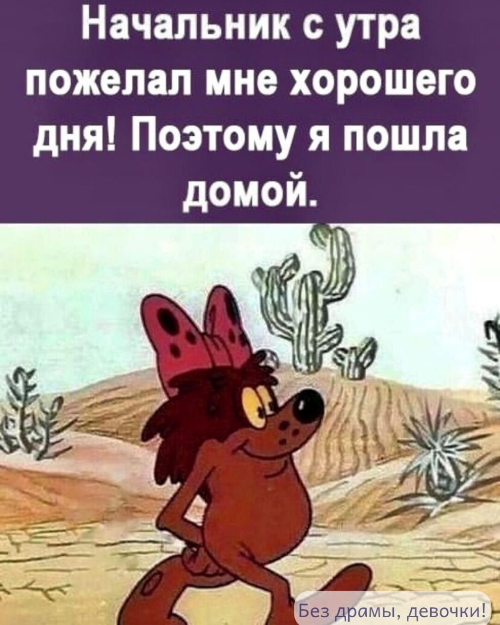 Начальник с утра пожелал мне хорошего дня! Поэтому я пошла домой.