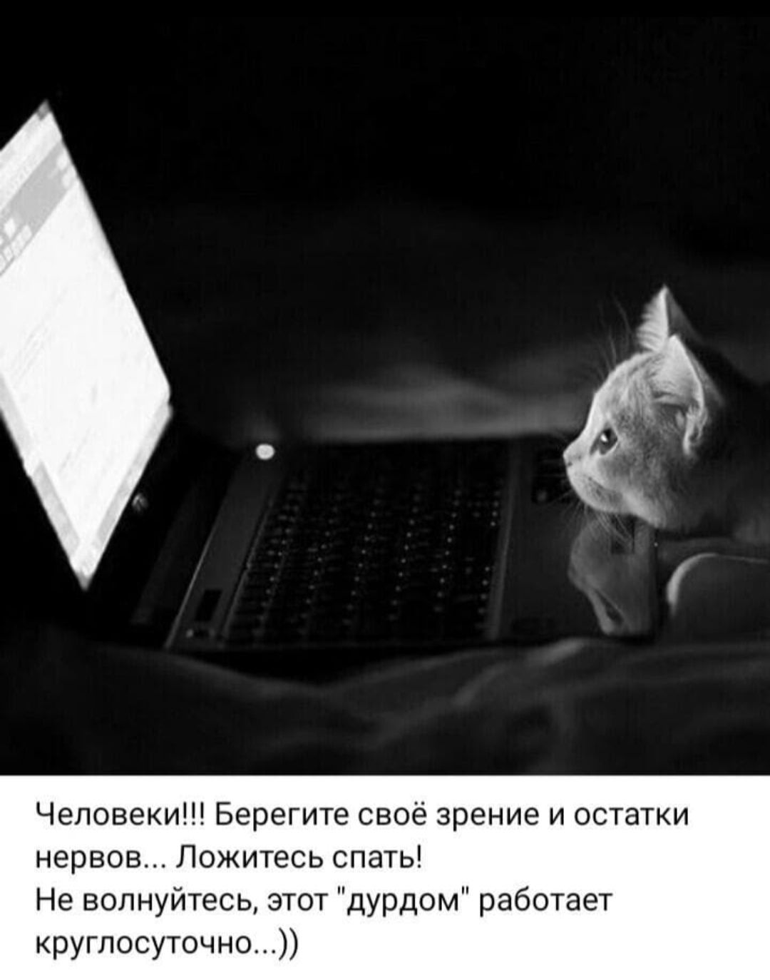 Человеки!!! Берегите своё зрение и остатки нервов... Ложитесь спать! Не волнуйтесь, этот 